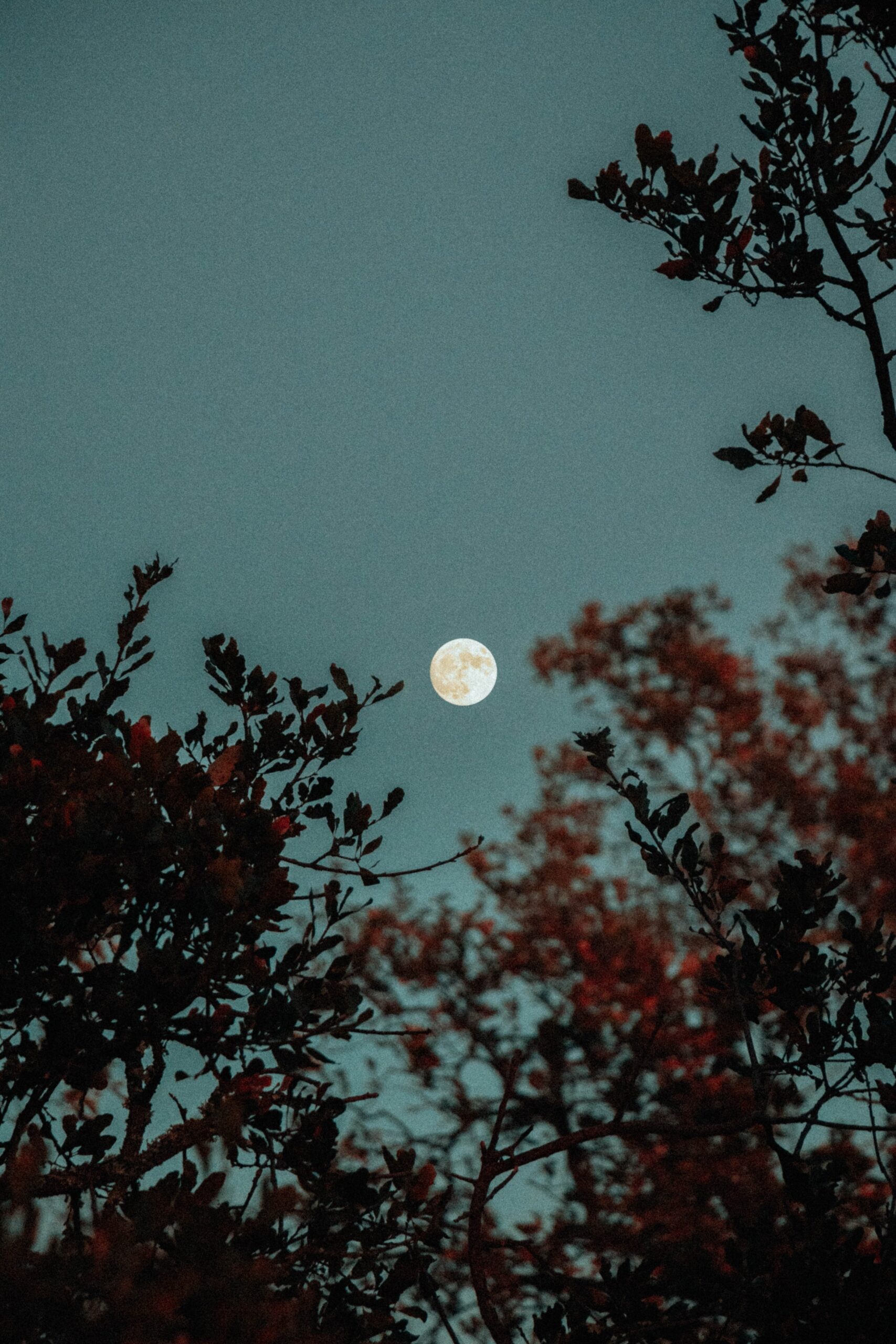 self reflection questions and rituals for a full moon