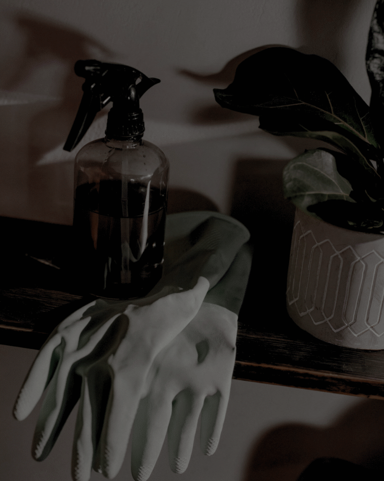 eco friendly cleaning products