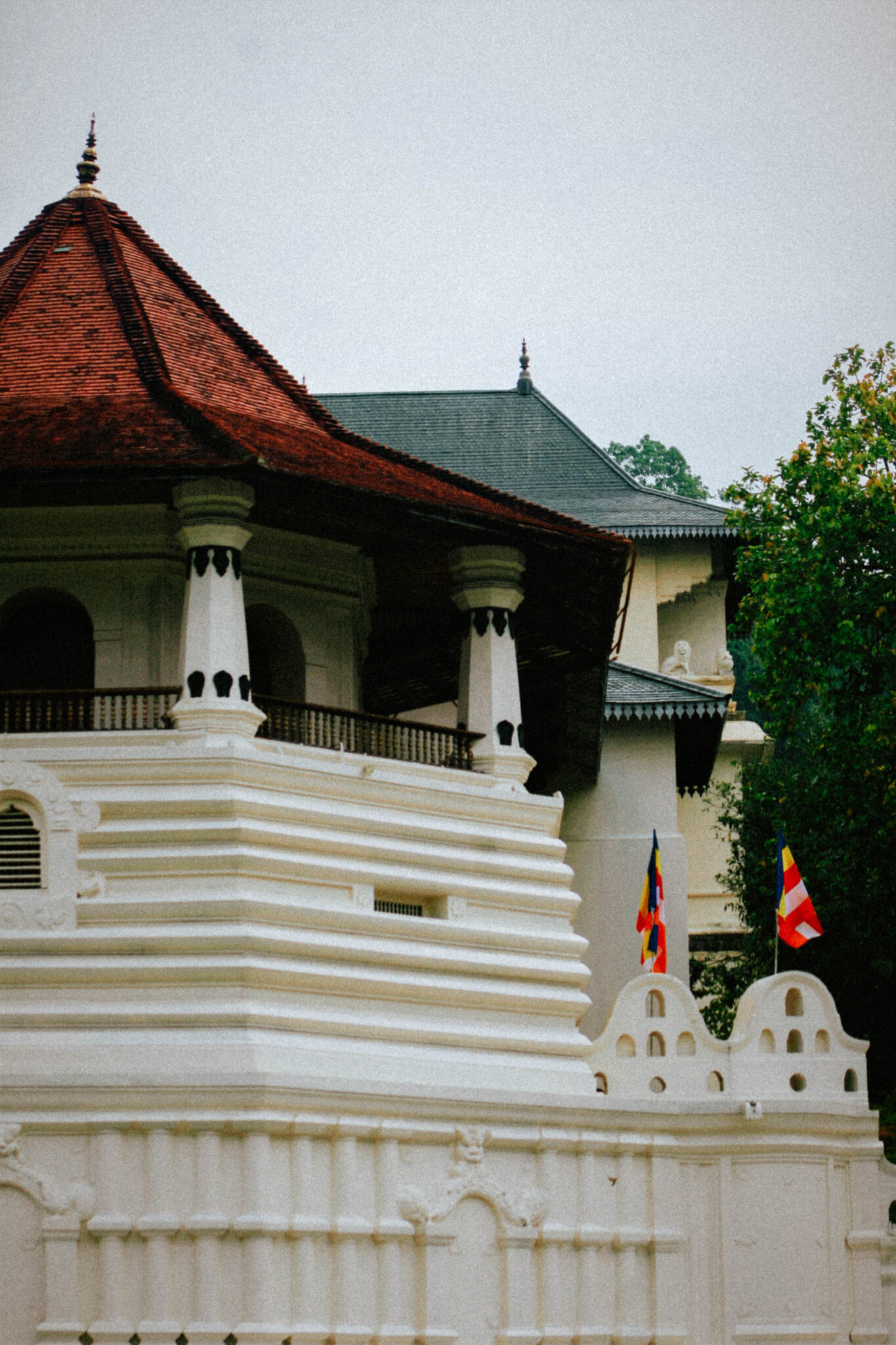 The Local Guide to Sri Lanka: Kandy - maia The Local Guide to Sri Lanka: Kandy - maia