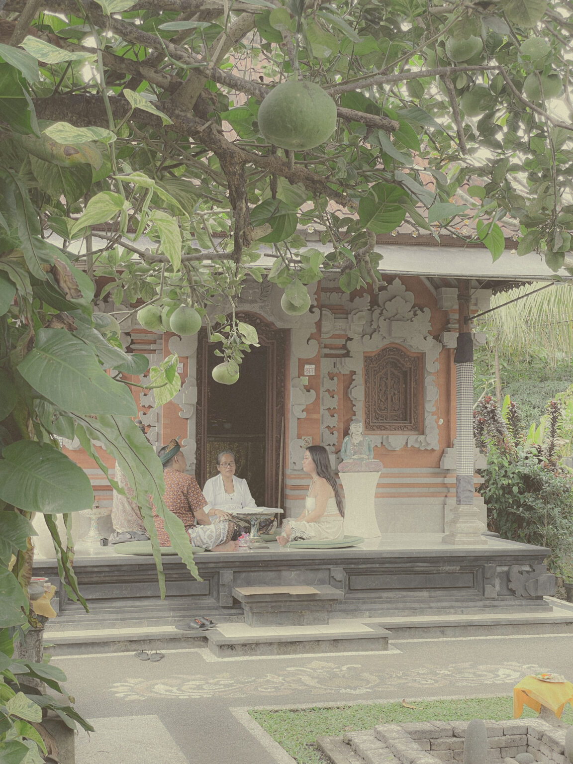 Unique Things to Do in Ubud, Bali maia